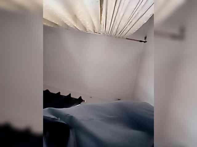 Elisa571 webcam