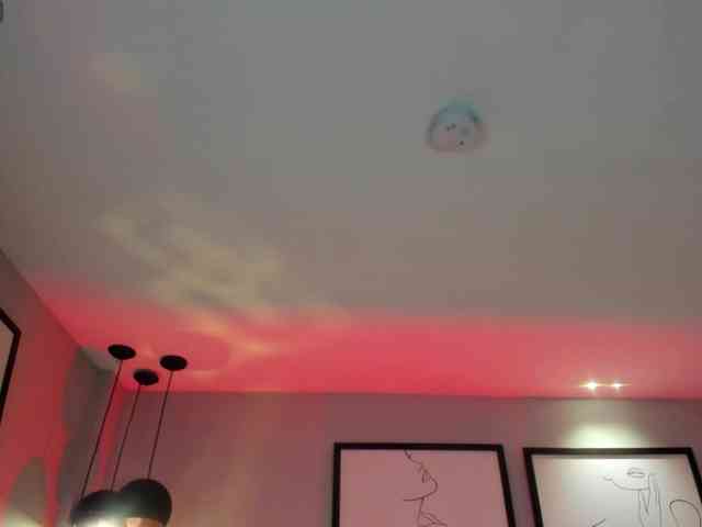 ChristineFord webcam