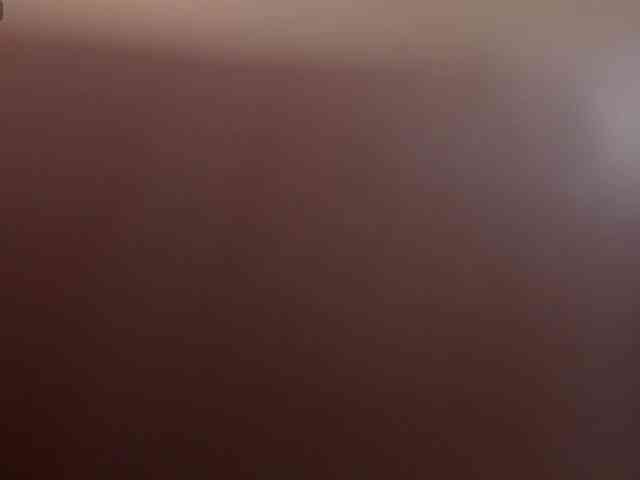 ChristineFord webcam