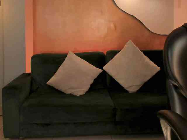 ChristineFord webcam