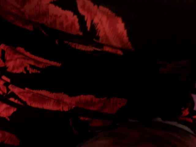 ChristineFord webcam