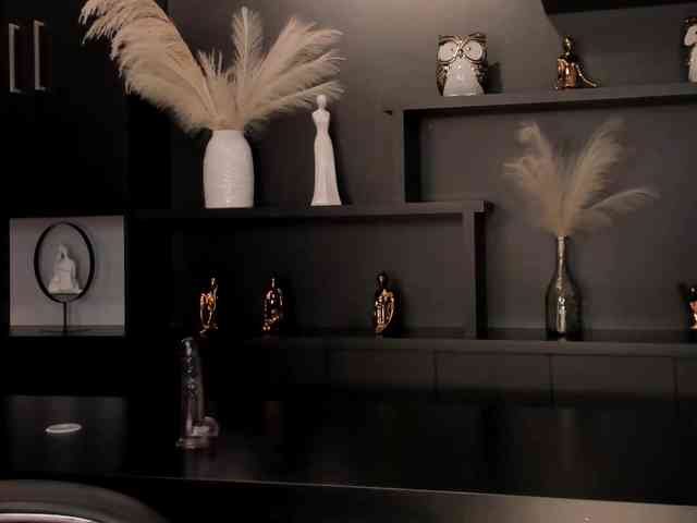 ChristineFord webcam