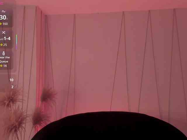 ChristineFord webcam