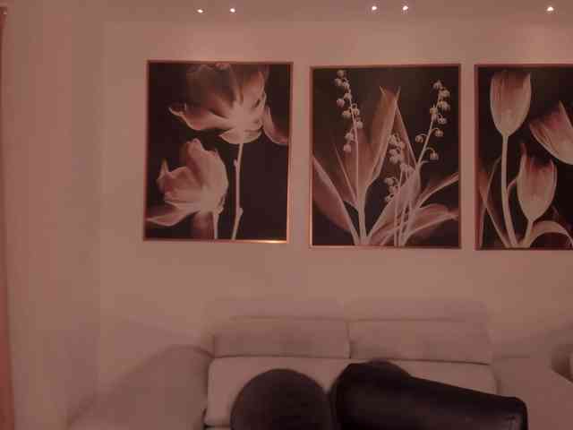 ChristineFord ChristineFord