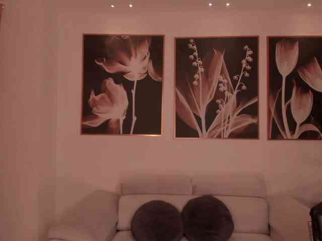 ChristineFord webcam