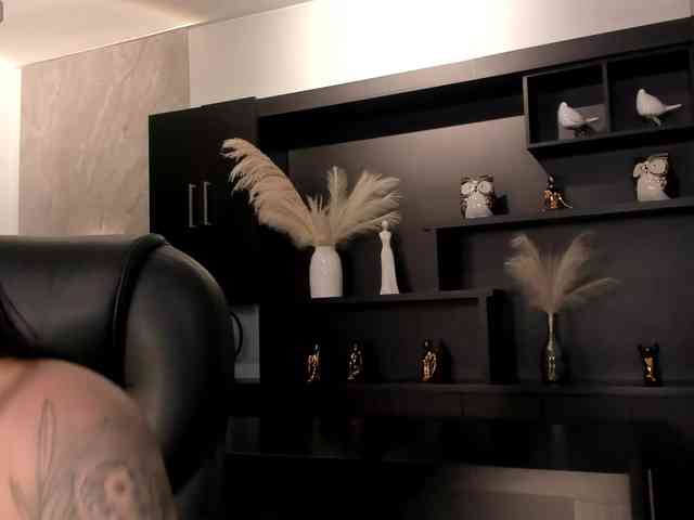 ChristineFord webcam