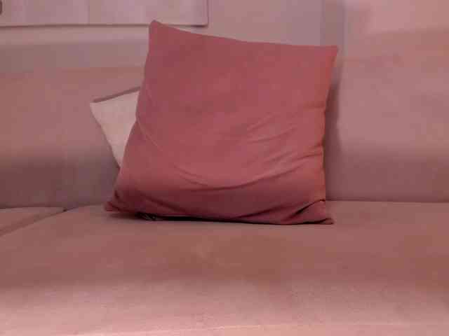 ParisWaldorf webcam