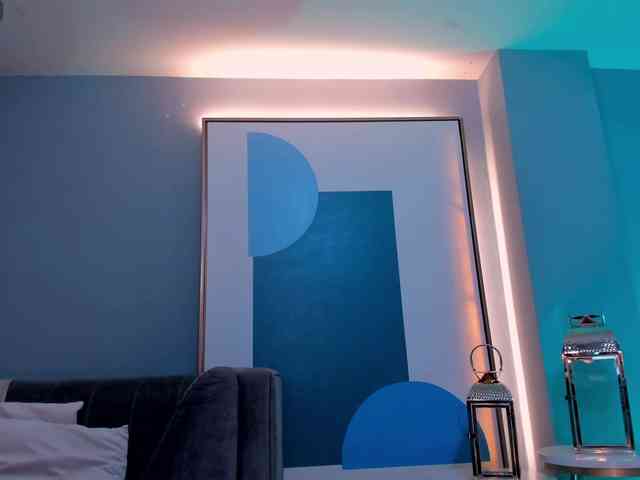 ParisWaldorf webcam