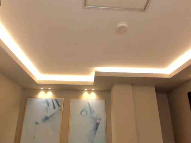 ParisWaldorf webcam