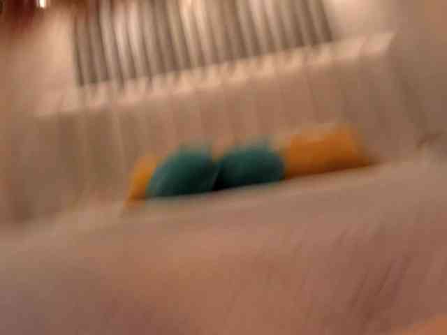 ParisWaldorf webcam
