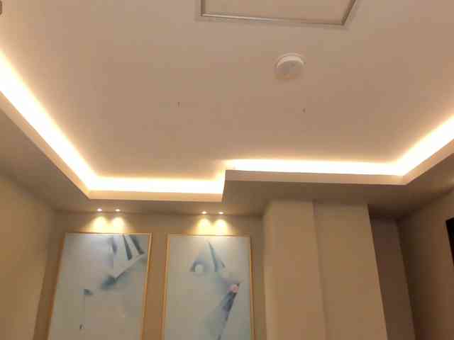 ParisWaldorf webcam