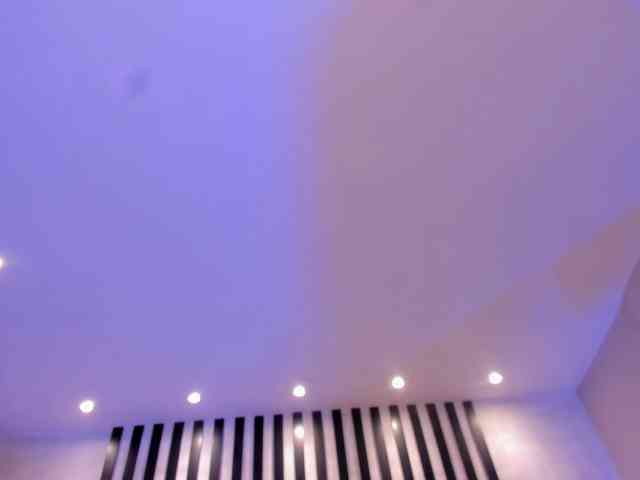 CelesteMoon webcam