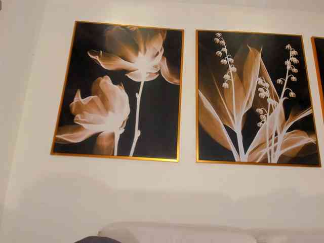 CelesteMoon webcam