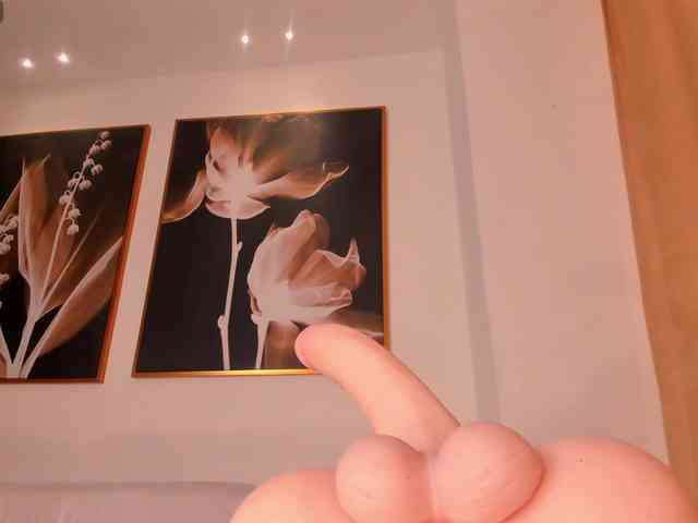 CelesteMoon webcam