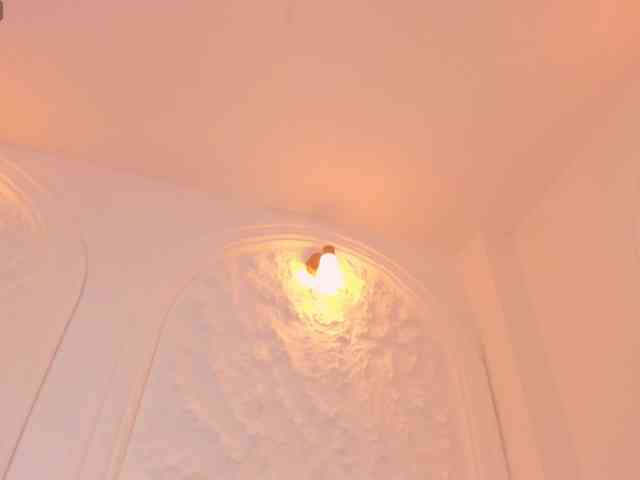 CelesteMoon webcam