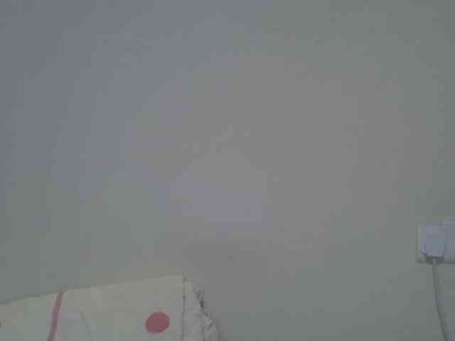 sweet-luna1 webcam
