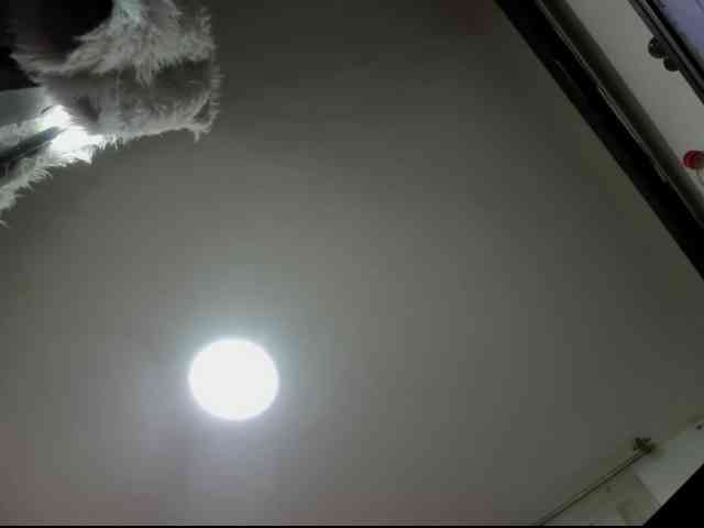 SexyRose69 webcam