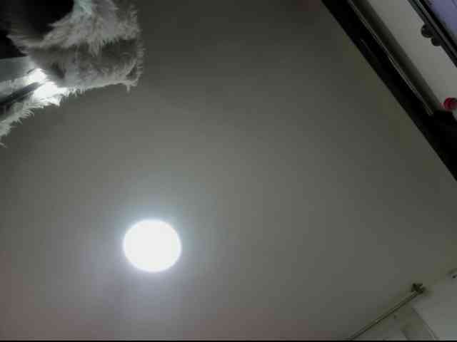 SexyRose69 webcam
