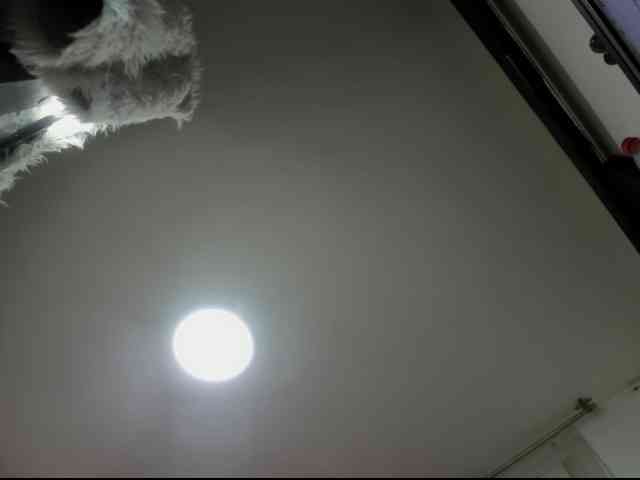 SexyRose69 webcam