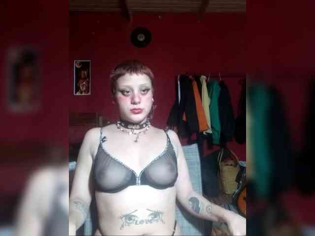 Vampirasatiata webcam