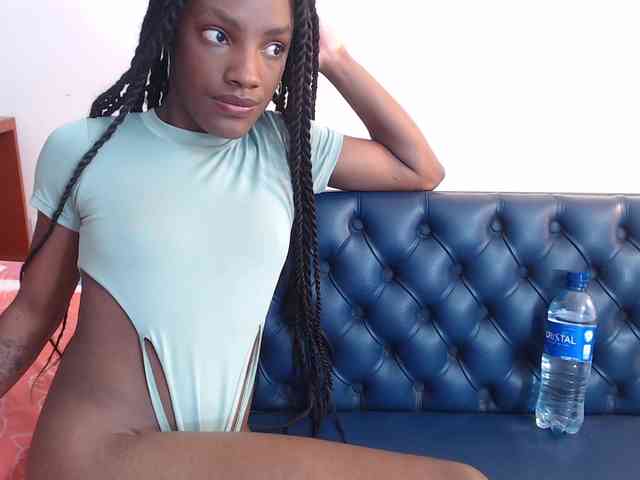 BellaShiny webcam
