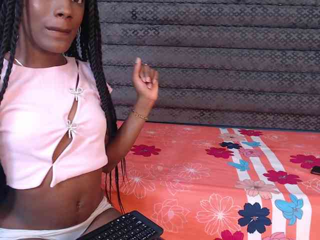 BellaShiny webcam
