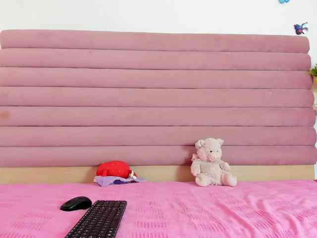 BellaShiny webcam