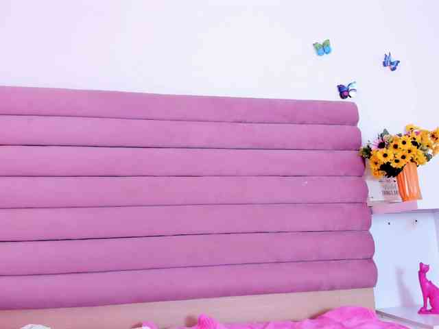 BellaShiny webcam