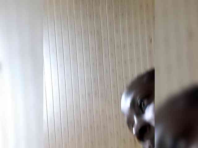Cutey-rinah webcam