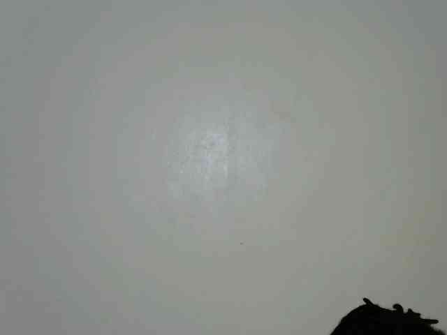 Hottiejoy webcam