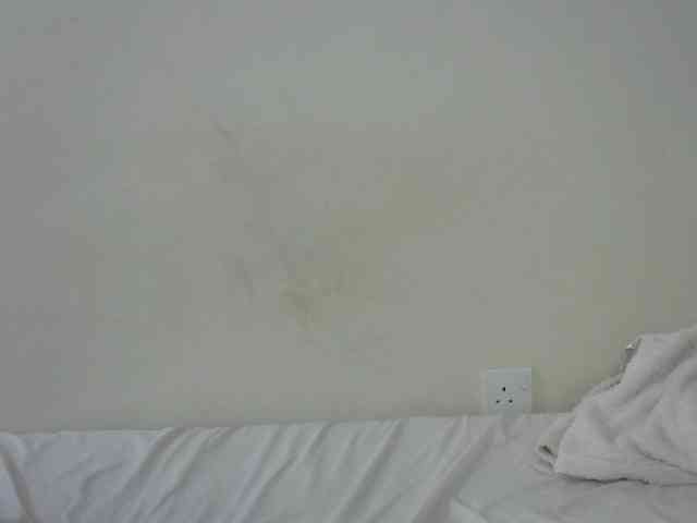 Hottiejoy webcam