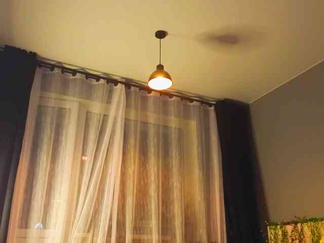 TinyMollys TinyMollys