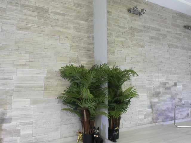 Megansin's BongaCams show and profile