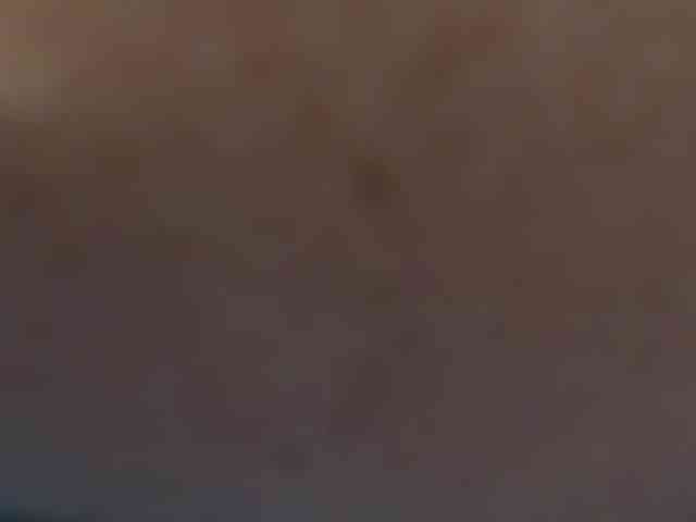 Daddysprincess731 webcam