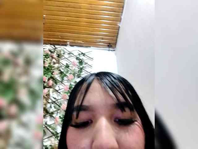 Valenrosse webcam