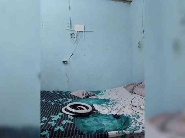 paradice870 webcam