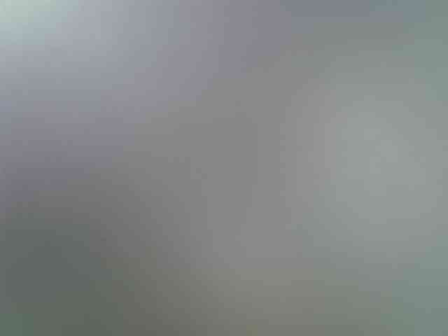 skeepmodel11 webcam