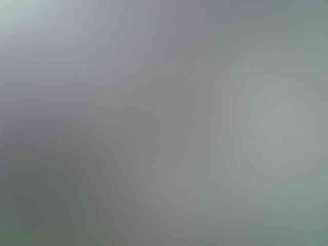 skeepmodel11 webcam