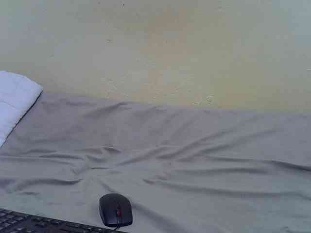 Sweetsandy7 Sweetsandy7