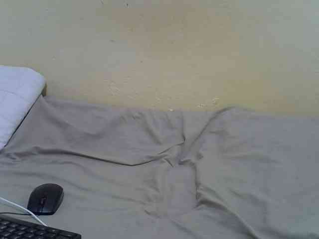 Sweetsandy7 Sweetsandy7