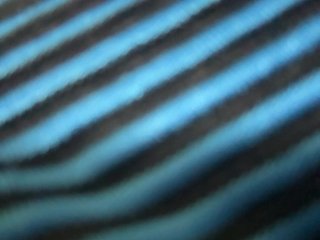 Misscreamerr Porn Show