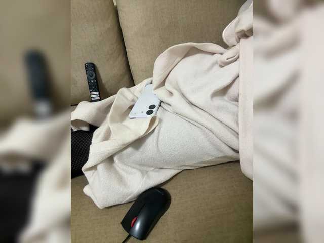 Misscreamerr live cam profile