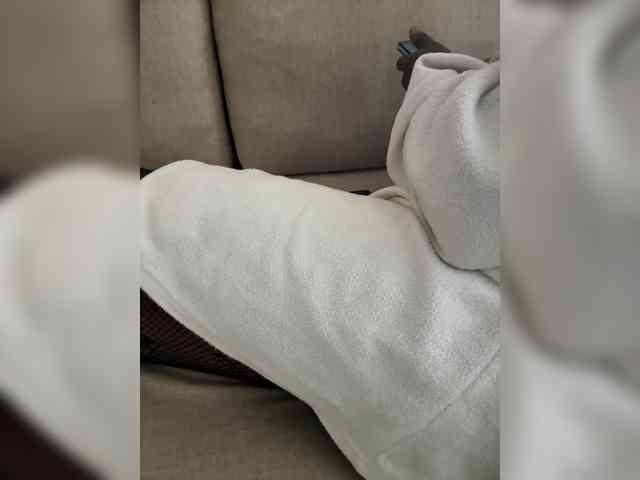 Misscreamerr Misscreamerr