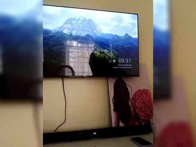 Misscreamerr Misscreamerr