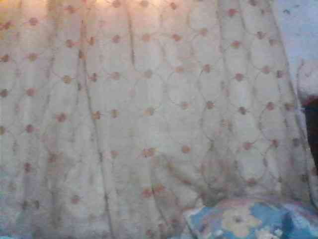 Moana2 webcam