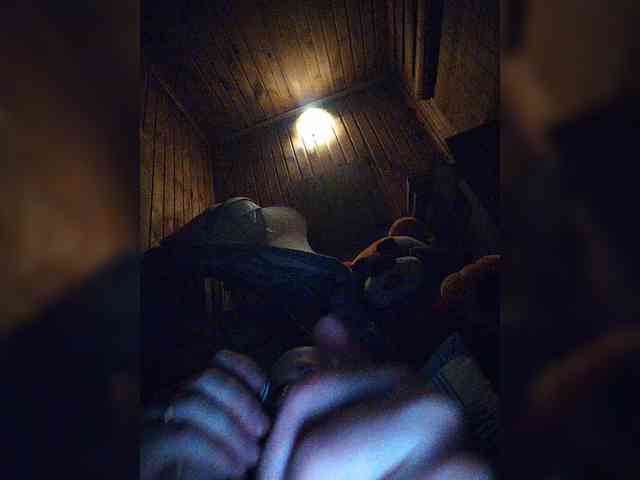 AlexKris webcam