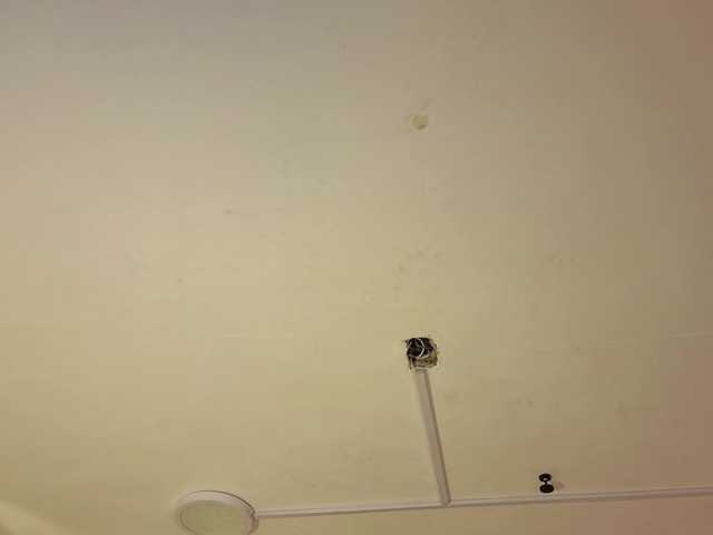 celestesecret's BongaCams show and profile