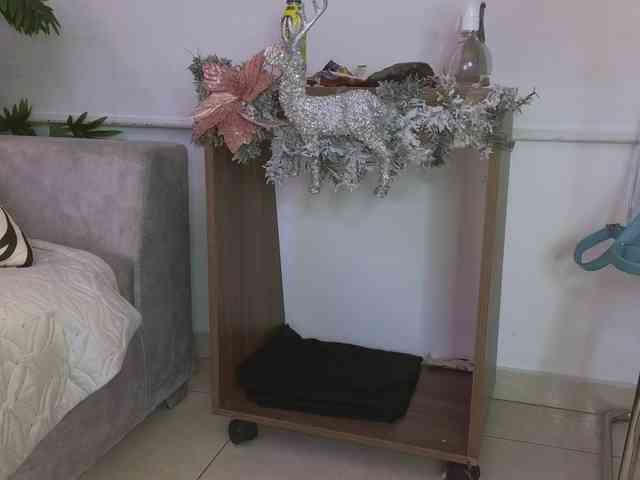 celestesecret webcam