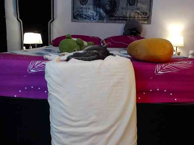 Valengigi webcam