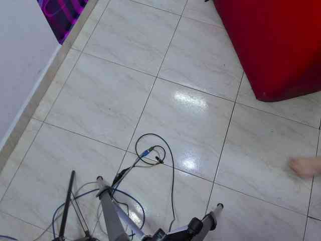 Daring-Latinavip webcam